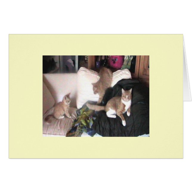 Tarjeta de Purrtrait de la familia (Anverso (Horizontal))