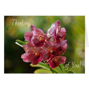 Tarjeta de Racimo de Orquídeas Vanda Tropicales