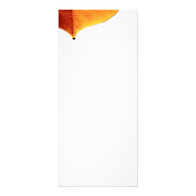 Tarjeta de rack de salida del naranja (Frente)