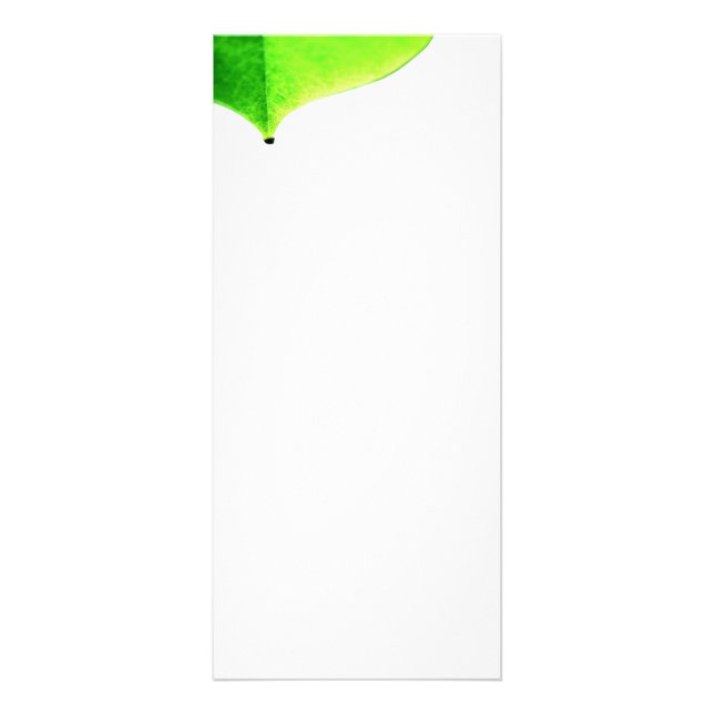 Tarjeta de rack de salida verde (Frente)