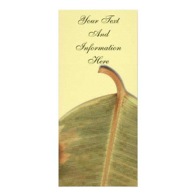 Tarjeta de rack de salida verde (Frente)