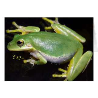 Tarjeta de rana divertida