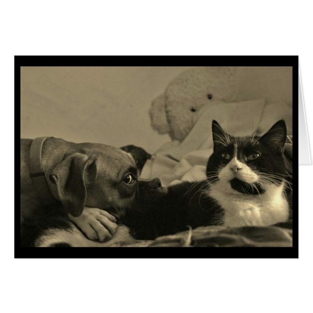 Tarjeta de rebanada para perros y gatos (Anverso (Horizontal))