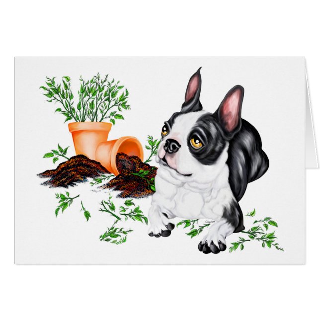 Tarjeta de recarga de Boston Terrier Naughty (Anverso (Horizontal))