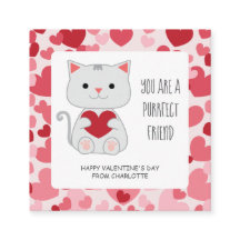 Amigo Perfecto Gato Clase San Valentín