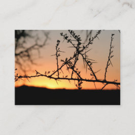 Tarjeta De Recepción Atardecer africano con espinosa silueta de árbol d