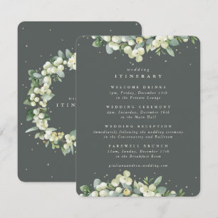 Tarjeta De Recepción Boda Itinerario Verde de Snowberry+Eucalyptus