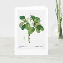 TARJETA DE RECEPCIÓN BOTÁNICA PERSONALIZABLE REDOU