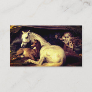 Tarjeta De Recepción Caballos Landseer