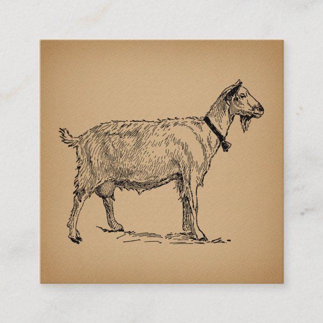 Tarjeta De Recepción Cabra con Ilustracion Campestre Antiguo Marrón (Anverso)