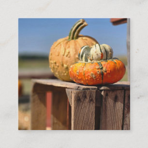Tarjeta De Recepción Calabaza y calabacín