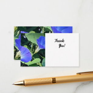 Tarjeta De Recepción Carta de Morning Glory Gracias Florist