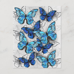 Tarjeta De Recepción Composición de las mariposas blancas y azules
