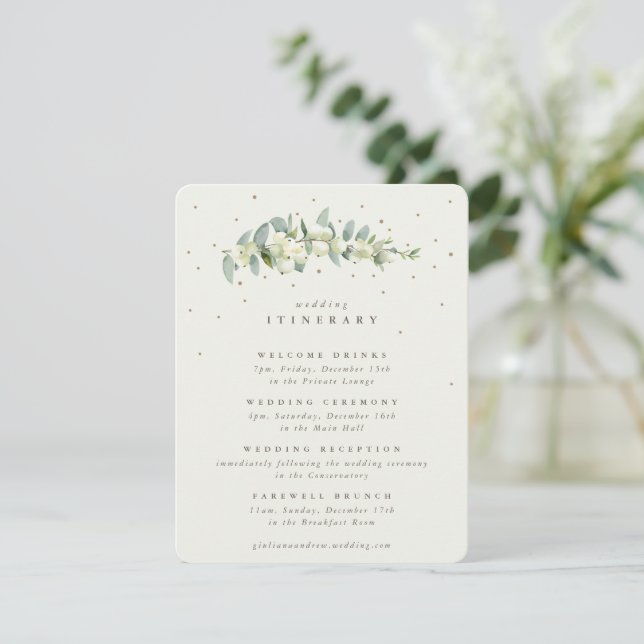 Tarjeta De Recepción Cream Snowberry+Eucalyptus Stem Boda Itinerary (Anverso de pie)