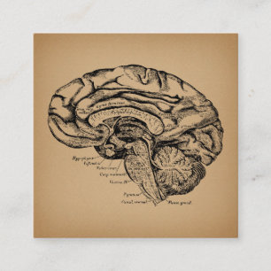 Tarjeta De Recepción Diagrama de cerebro antiguo arte de anatomía médic
