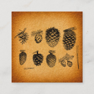 Tarjeta De Recepción Diseño antiguo de arte de pinecones de pino rústic