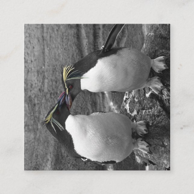 Tarjeta De Recepción Explosión de color de pingüino (Anverso)