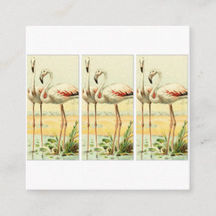 Tarjeta De Recepción Flamenco Vintage