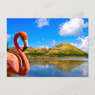 Tarjeta De Recepción Flamingo caribeño en St Kitts