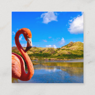 Tarjeta De Recepción Flamingo caribeño en St Kitts