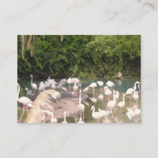 Tarjeta De Recepción Flamingoes at Leisure