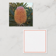 Flor Banksia