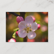 Flor de manzano en una rama florecida en primavera