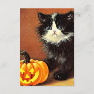Tarjeta De Recepción Gatito de Halloween blanco y negro vintage