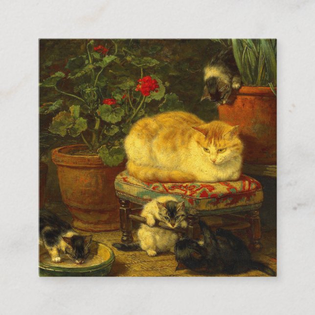 Tarjeta De Recepción Gatitos en juego (Anverso)