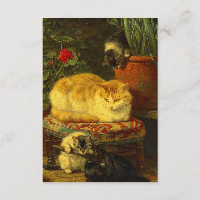 Tarjeta De Recepción Gatitos en juego (Anverso)