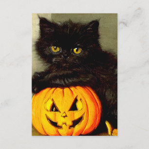 Tarjeta De Recepción Gato de Halloween vintage y linterna de Jack-o