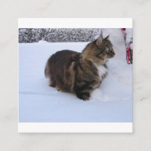 Tarjeta De Recepción gato del bosque noruego en la nieve