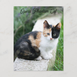 Tarjeta De Recepción Gato Fantasma de la Ópera