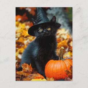 Tarjeta De Recepción Gato negro de Halloween y calabaza