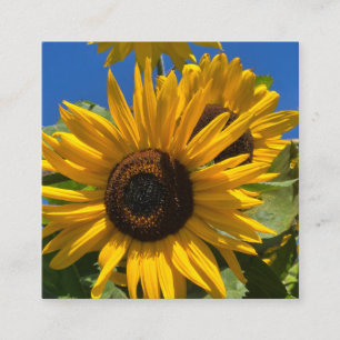 Tarjeta De Recepción Girasol