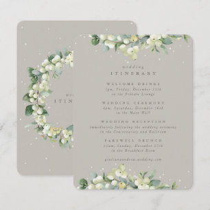 Tarjeta De Recepción Greige Snowberry+Eucalyptus Boda Itinerario