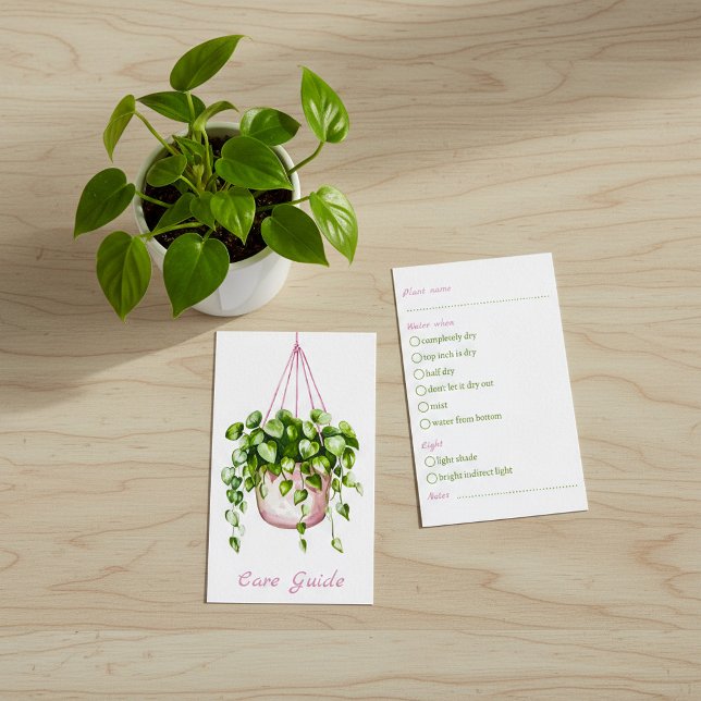Tarjeta De Recepción Guía de cuidado de plantas colgantes de acuarela (Watercolor Hanging Plant Care Guide Enclosure Card.)