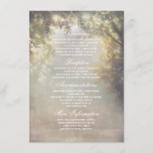 Información Boda sobre las luces de árbol rústico