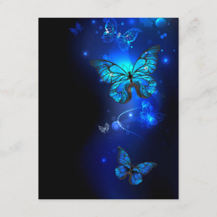 Tarjeta De Recepción Mariposa morfo en el fondo oscuro