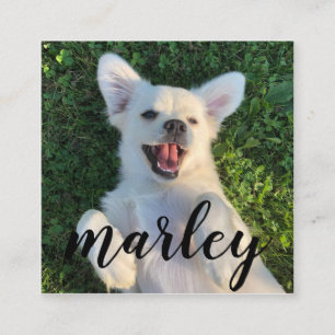 Tarjeta De Recepción Moderna Foto de Mascota Personalizada Rústica