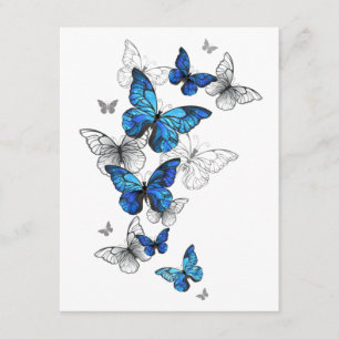 Tarjeta De Recepción Morfo de las mariposas voladoras azules