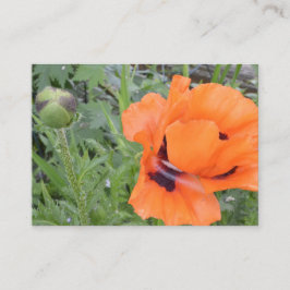 Tarjeta De Recepción Naranja Poppy Postcard