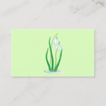 Nieves (Galanthus nivalis) Flores de Primavera Tem