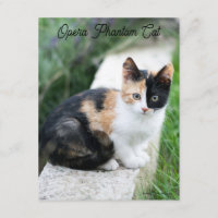 Opera Gato fantasma