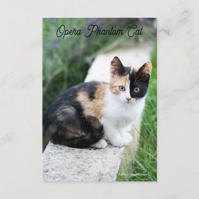 Tarjeta De Recepción Opera Gato fantasma (Anverso)