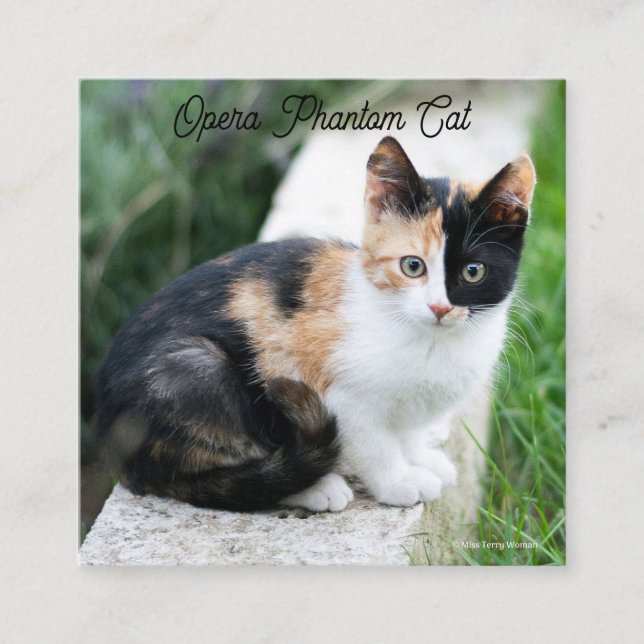 Tarjeta De Recepción Opera Gato fantasma (Anverso)