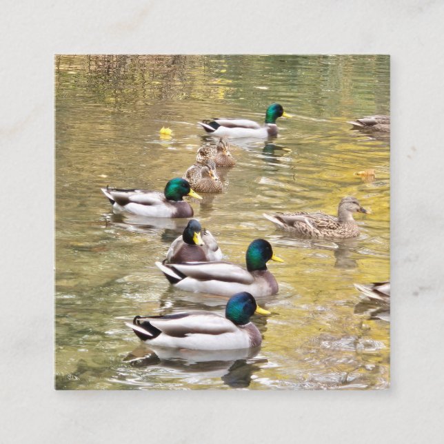 Tarjeta De Recepción Pájaros en el estanque (Anverso)