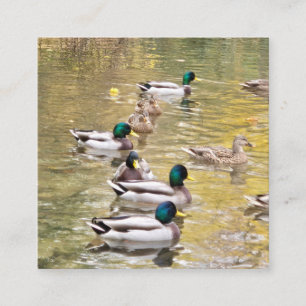Tarjeta De Recepción Pájaros en el estanque