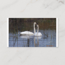 Tarjeta De Recepción Pareja de cisnes