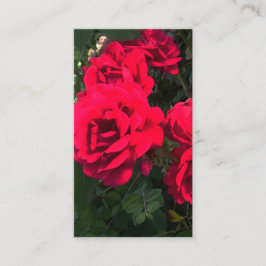 Tarjeta De Recepción Romántico Rosery Red Rose Garden